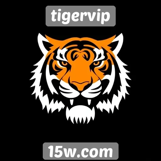 Opiniões de usuários sobre a experiência no tigervip